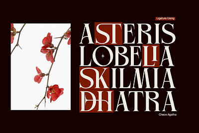 Chaos Agatha - Elegant Display sophisticated