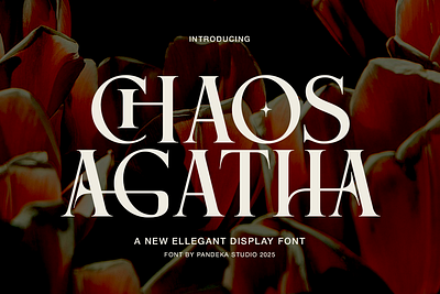 Chaos Agatha - Elegant Display sophisticated