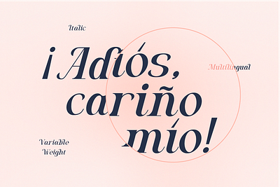 Algra Molta - Elegant Serif Family decorative font