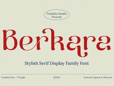 Berkara - Stylish Serif Display logo