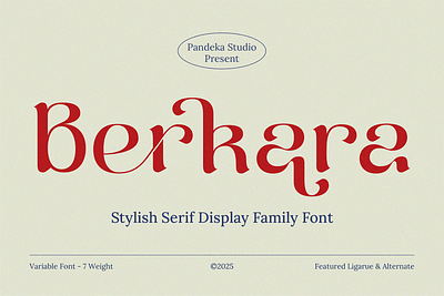 Berkara - Stylish Serif Display logo