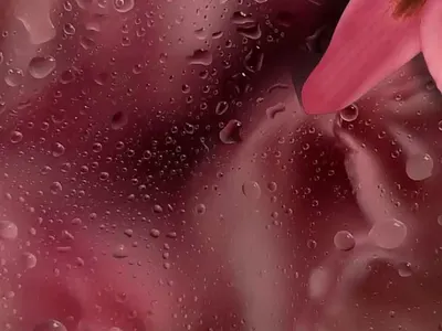 ENGAGE PARFUM UI DESIGN 3d animation branding design engage graphic design illustration logo motion graphics perfume ui vector