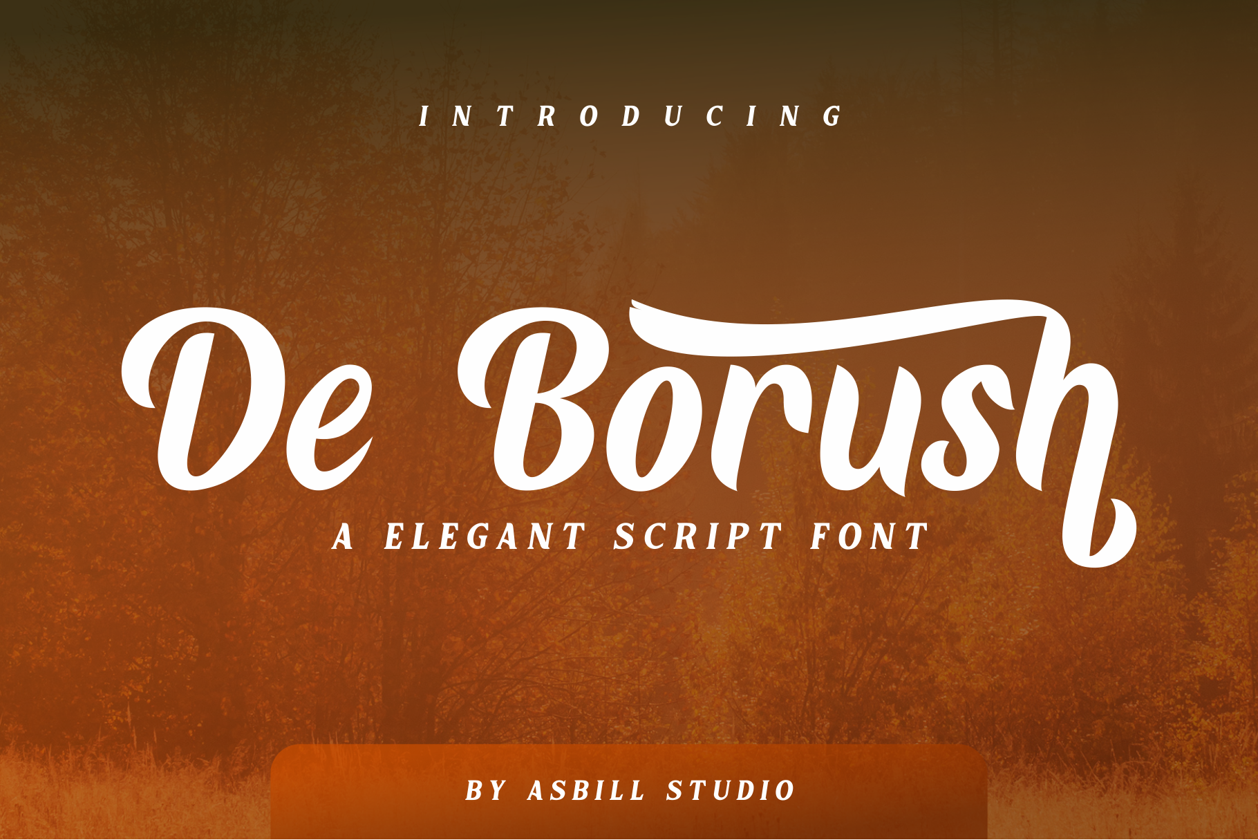 De Borush branding font graphic design logo script typography