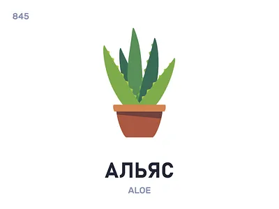 Алья́с / Aloe belarus belarusian language daily flat icon illustration vector word
