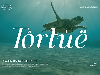 Aylia - Modern Luxury Serif script pairing