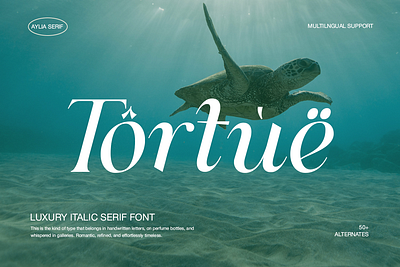 Aylia - Modern Luxury Serif script pairing