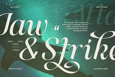 Aylia - Modern Luxury Serif minimalist