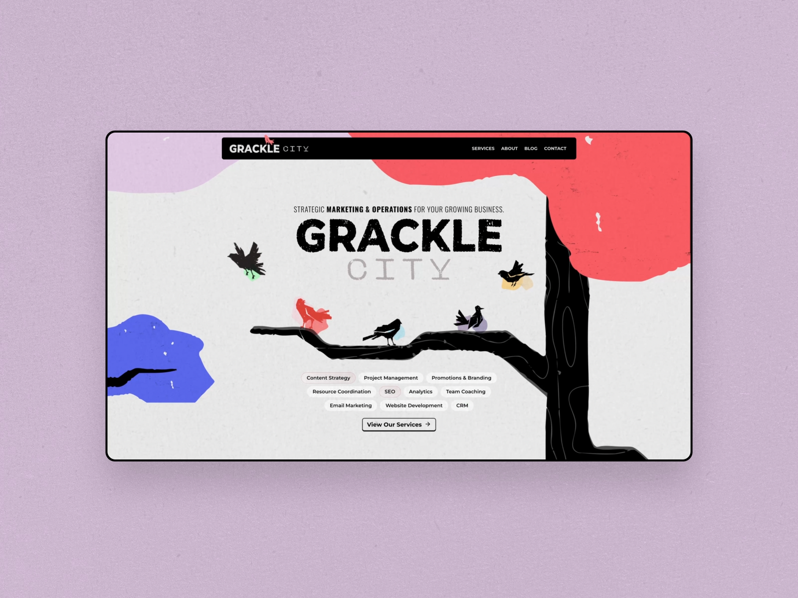 Grackle City Website - Home animation bright colorful funky graphic web icons illutration web landing page marketing parallax shapes textured web design website weird