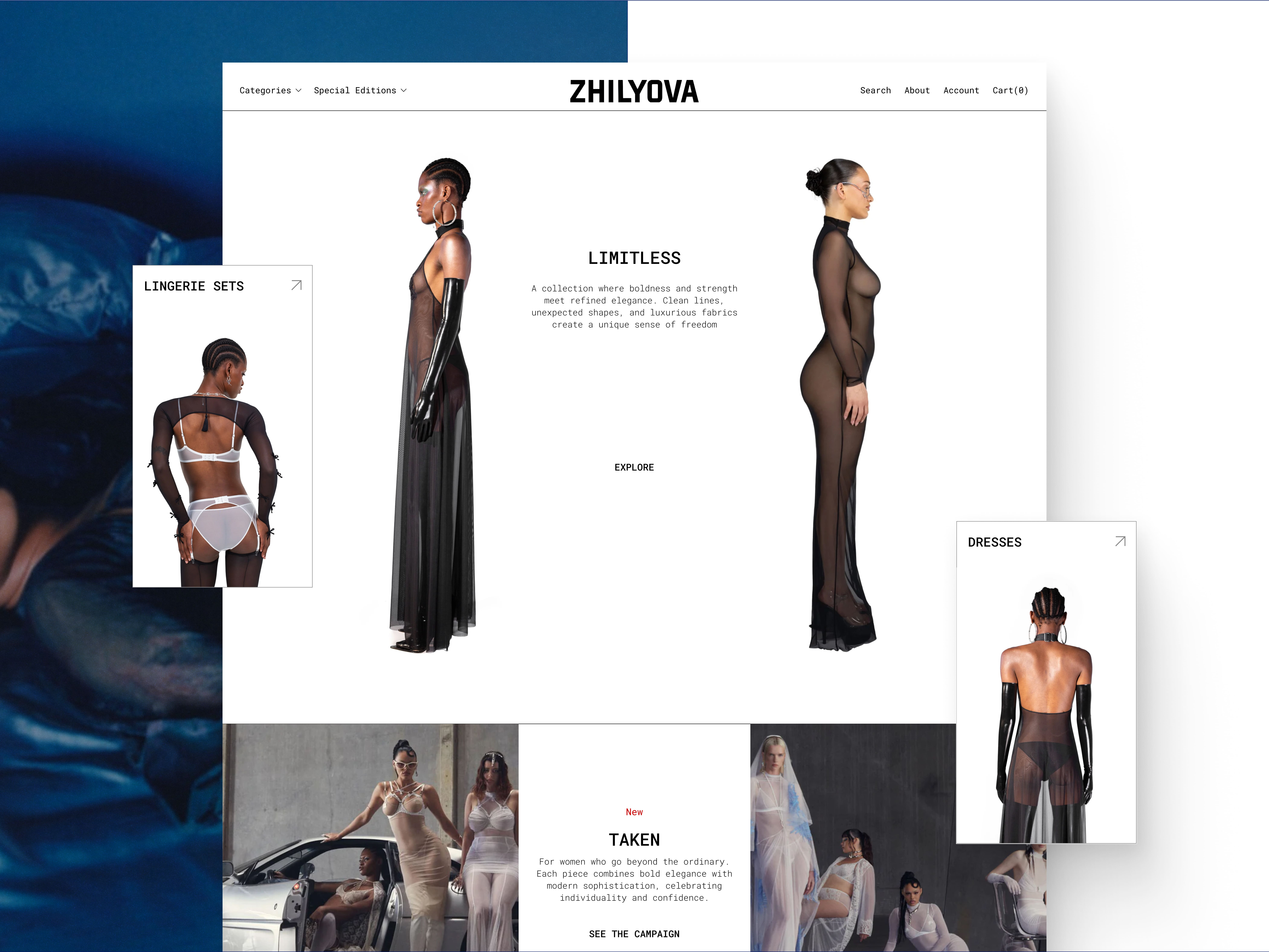Example of E Commerce Website Designed To Sell
