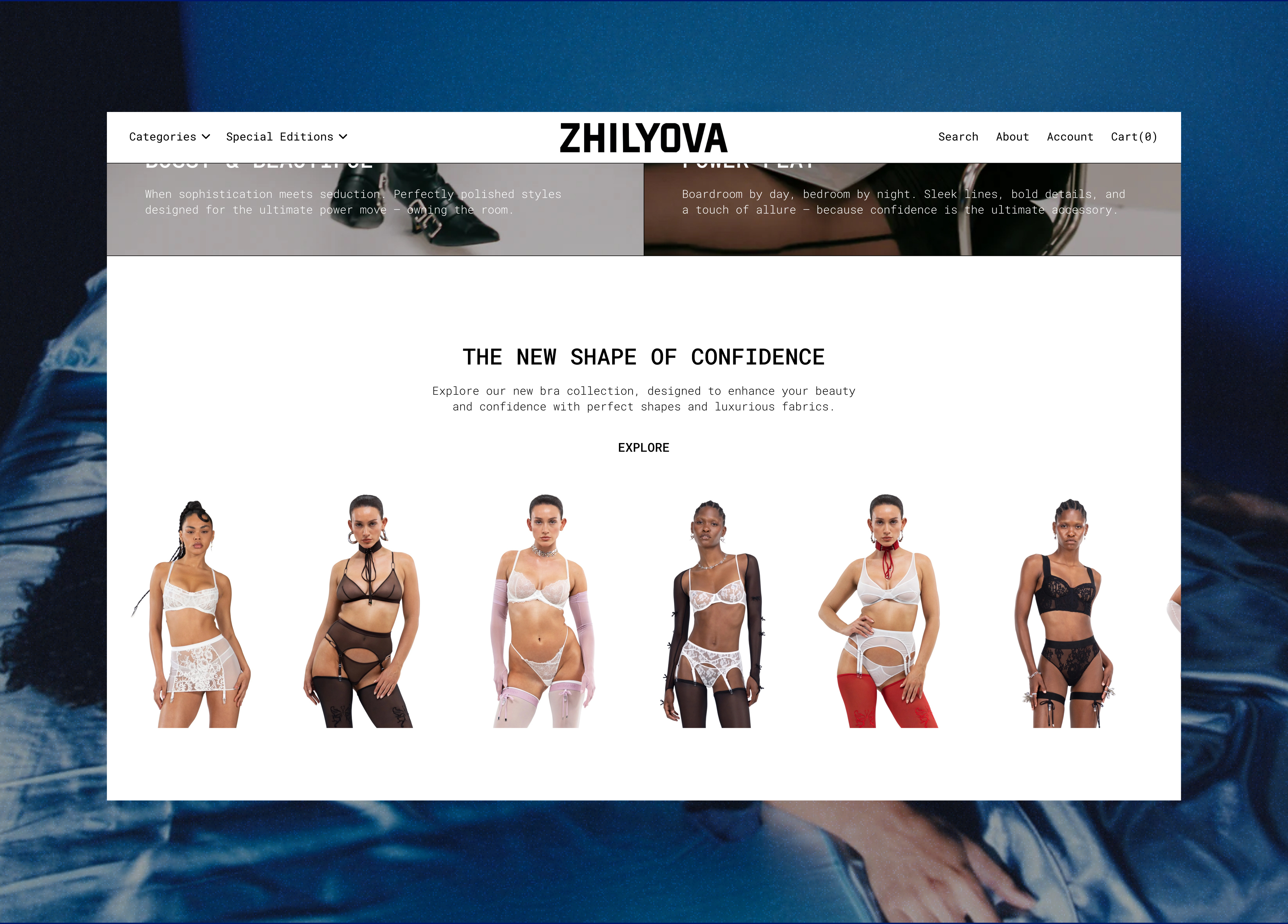 Example of E Commerce Website Designed To Sell