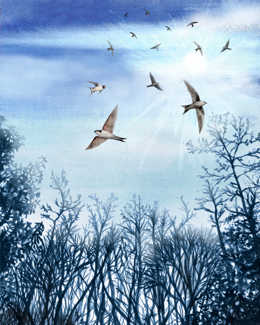 Flying High Watercolour illustration animal illustration birds book illustration flying nature nature illustration nature scene swallow swift watercolor painting watercolour illustration