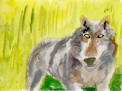 loup 22 watercolor