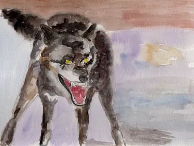 loup 26 watercolor