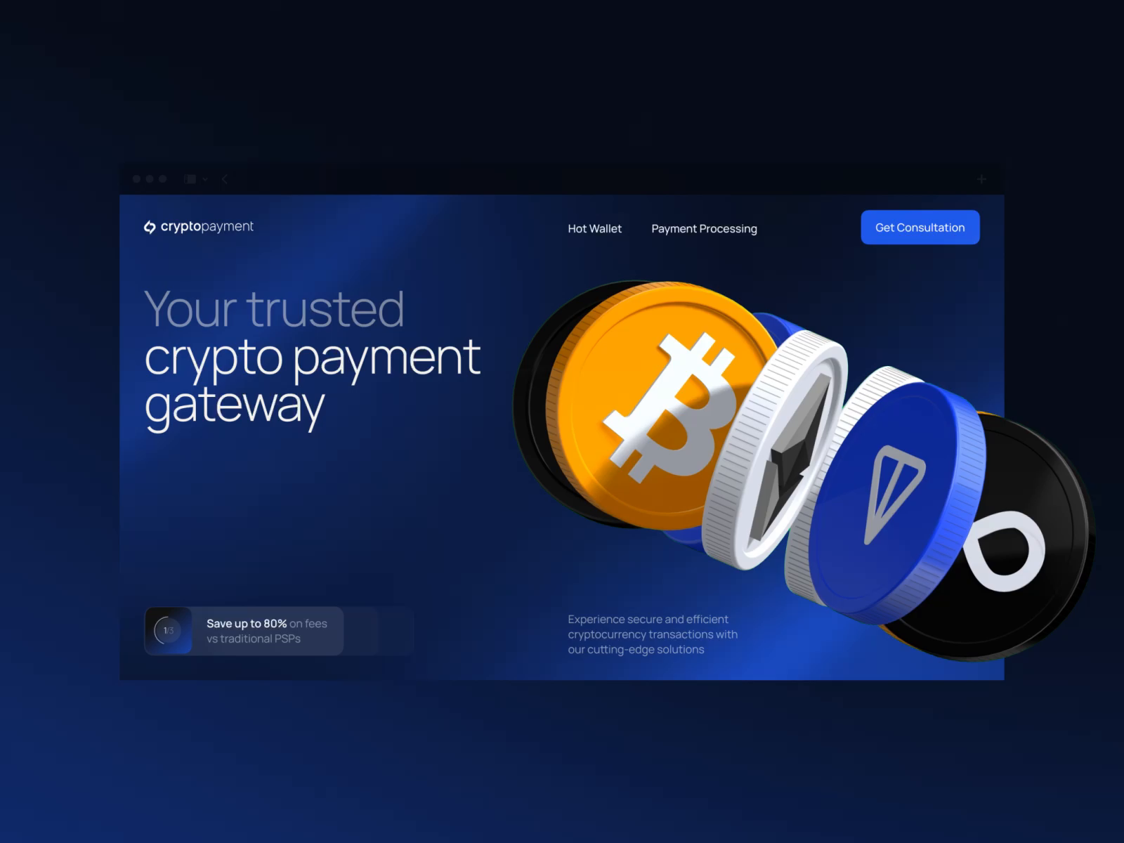 Example of Cryptopayment Web Design & Visual Identity