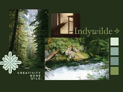 Indywilde Mood Board branding graphic design illustration logo mood board photography