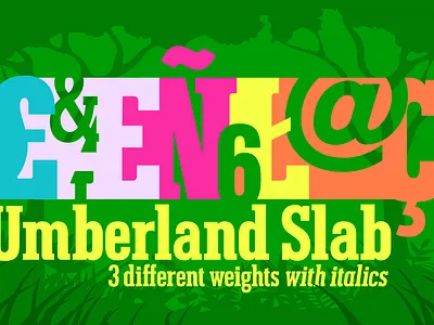 Umberland Slab design display font fonts graphic design illustration logo serif sharkshock slab typography