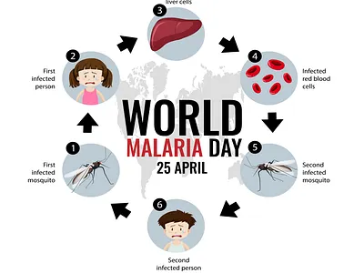 WORLD MALARIA DAY 25 april adobe illustrator alergy branding design disease graphic design illness illustration infection insect bite logo malaria mosqueto mosqueto bite red redness vector world malaria day