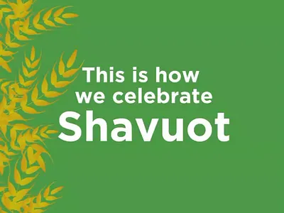 Jewish Festival - Shavuot festival post motion graphics reel simple typography
