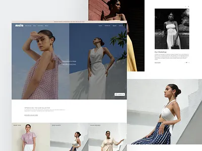 Luxury Clothing Brand Website luxury clothing brand ui uiux web design website
