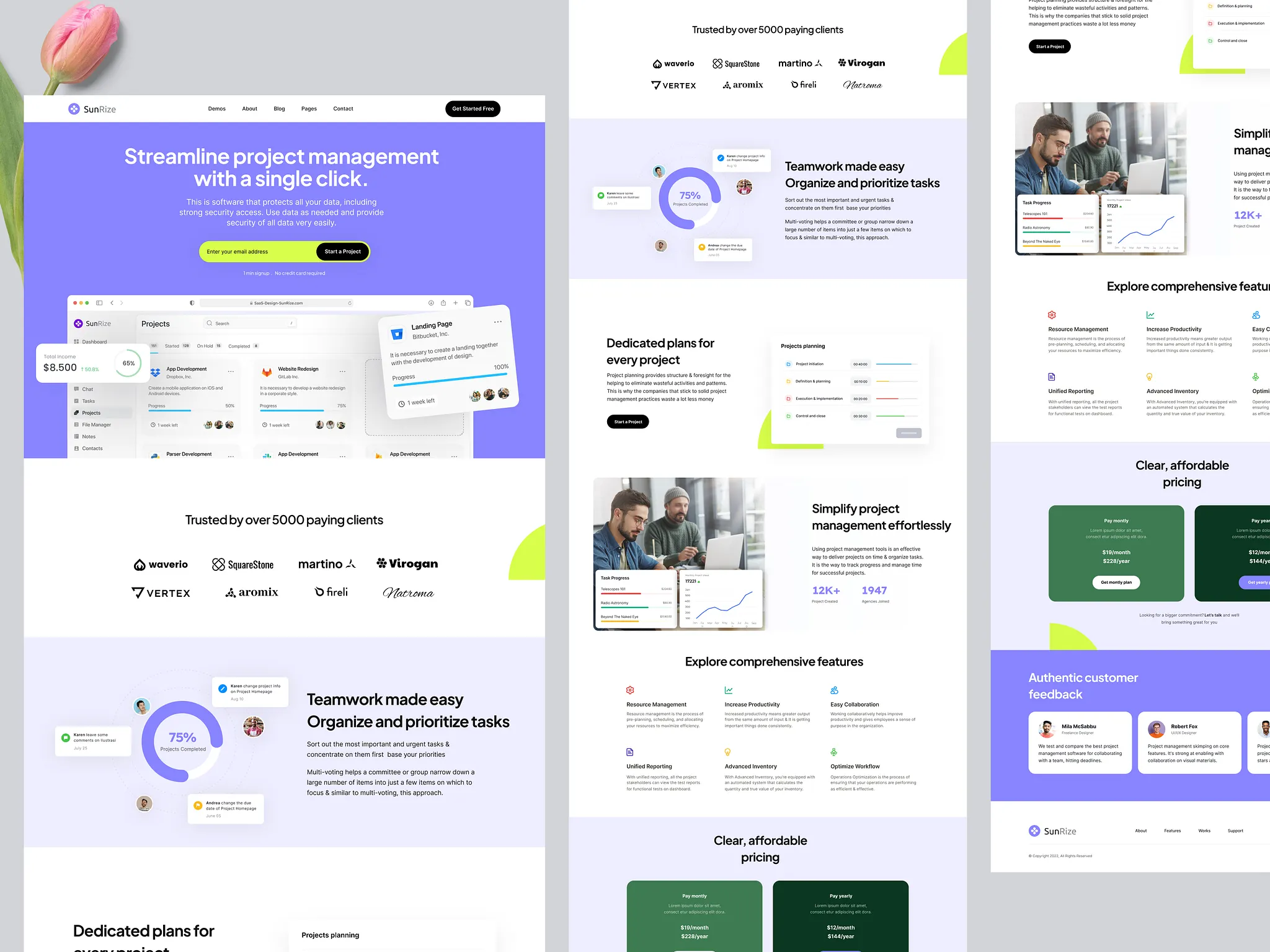 Example of Landing Page for SaaS Platform