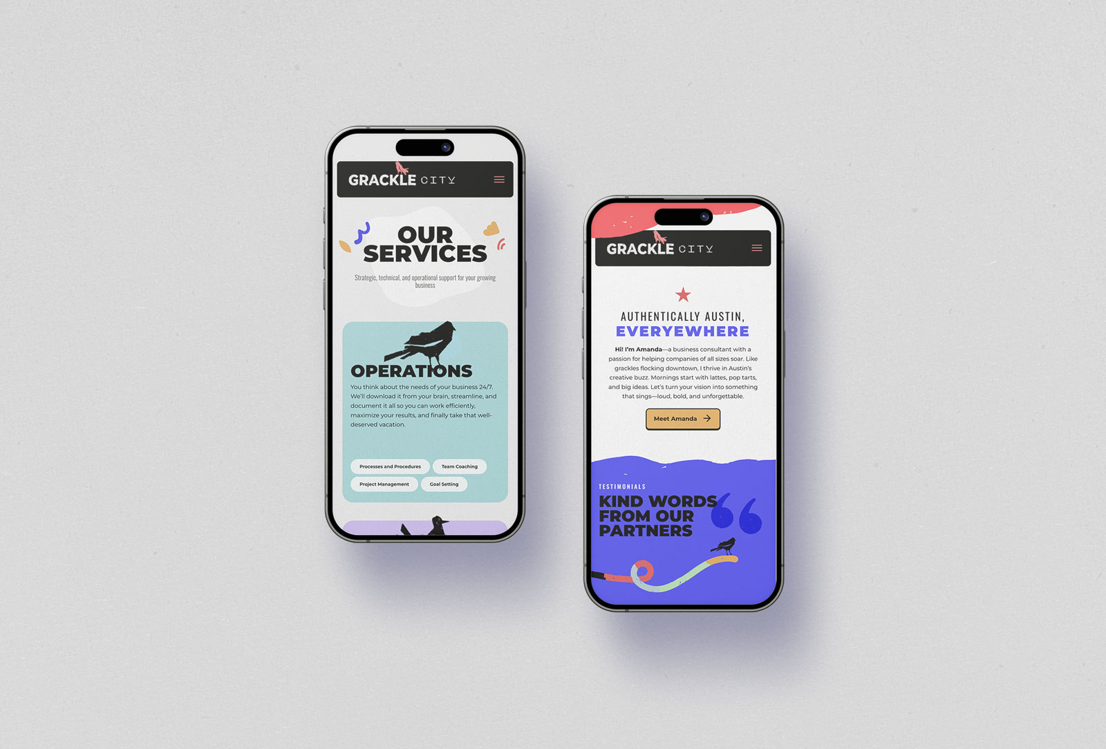 Example of Brand Identity + Website