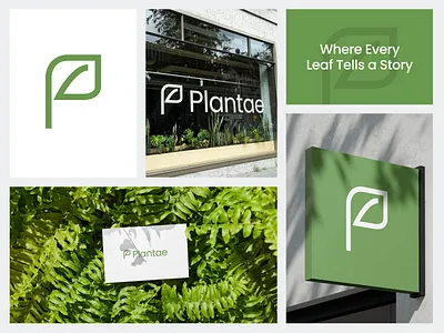Plantae – Logo Design for Indoor Plant 🌿 branding business card clean clean logo graphic design green branding green logo logo logo branding logo inspiration minimalist minimalist logo mock up mock up logo mock up plant plant branding plant logo plantae white green
