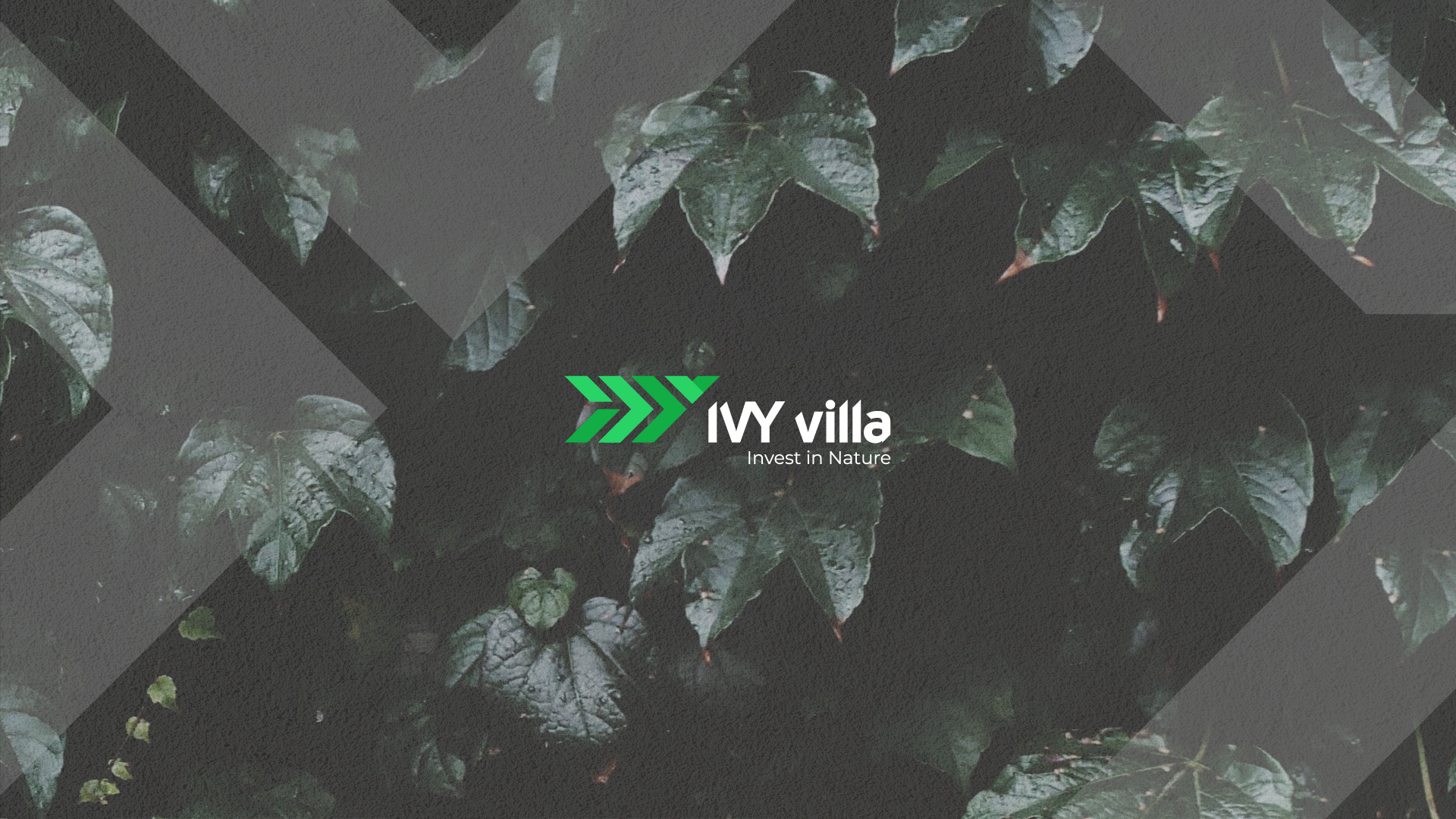 Ivy villa - Visual Identity brand identity building logo dribbble dribbble best shot graphic design green logo ivy villa mongolia nature logo sane designer town logo villa logo villa viusal village logo