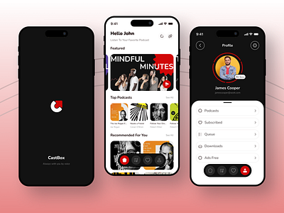 Podcast and Storyteller App Design android app clean color graphic design ios iphone menu mobile music play playlist podcast responsive subtitles thumbnail ui ux vibrant whitespace