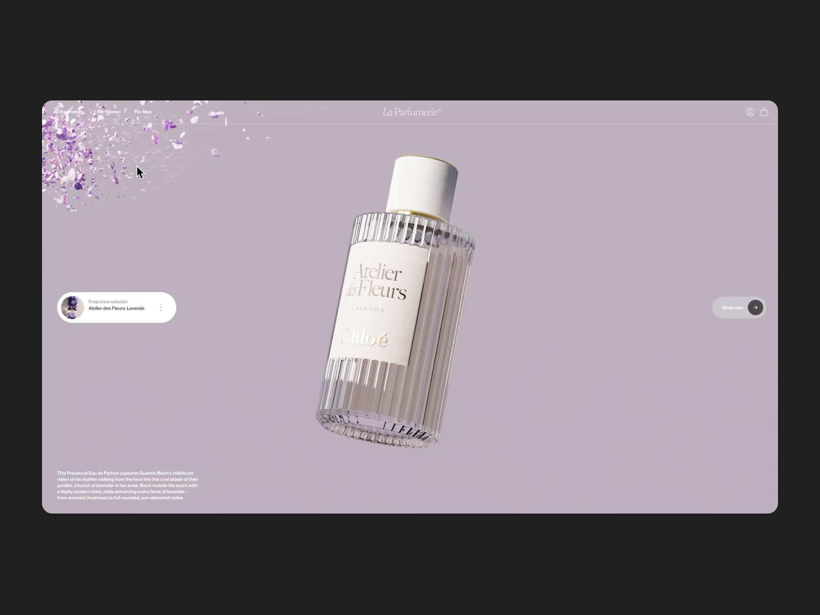 Example of Interactive Petal Particles