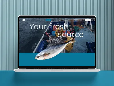 Bringing Fresh Produce to Life — Branding & Web for ITT Dubai 🐟 2d branding design graphic design illustration motion graphics ui web website