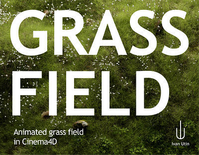Grass Field 3d 3dlookdev 3dmodeling 3drender 3dvisualization animation blender cgi cinema4d design landscapedesign lighting motion graphics naturerender proceduralmodeling redshift