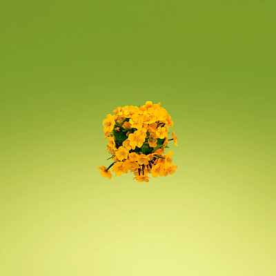 Grass and Flowers 3d 3d animation 3d art 3d designer abstract animation art blender designer flowers grass green no ai particles texture