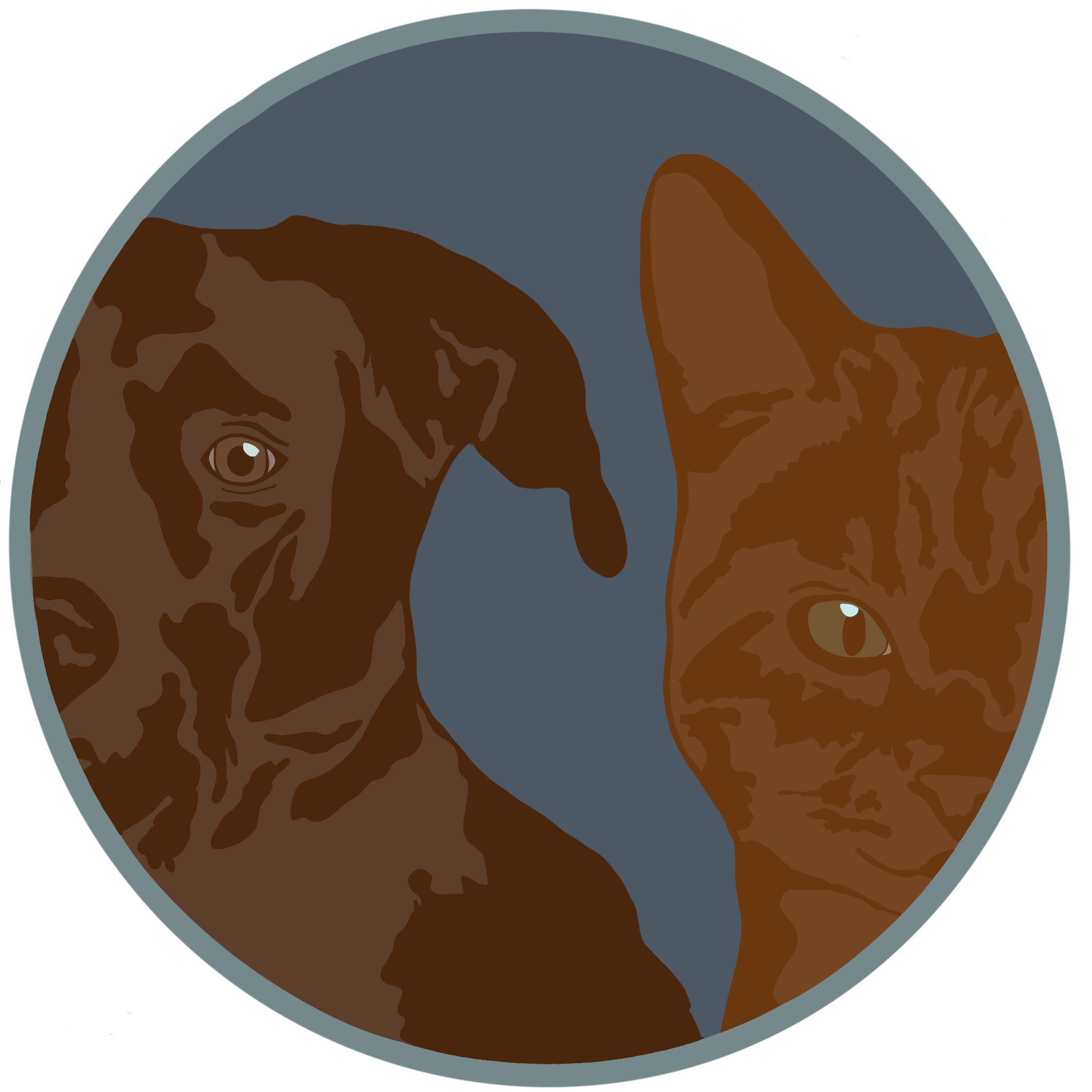 Example of Logo Redesign (Petsmart)