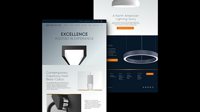 Beta Calco Website Design design graphic design lighting ui web design website