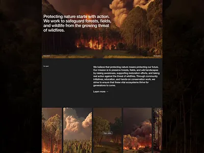 Protect nature 🌳 framer framerdesigner framerdeveloper framerwebsite landing page landingpage ui ux uxui web design webdesign website website design