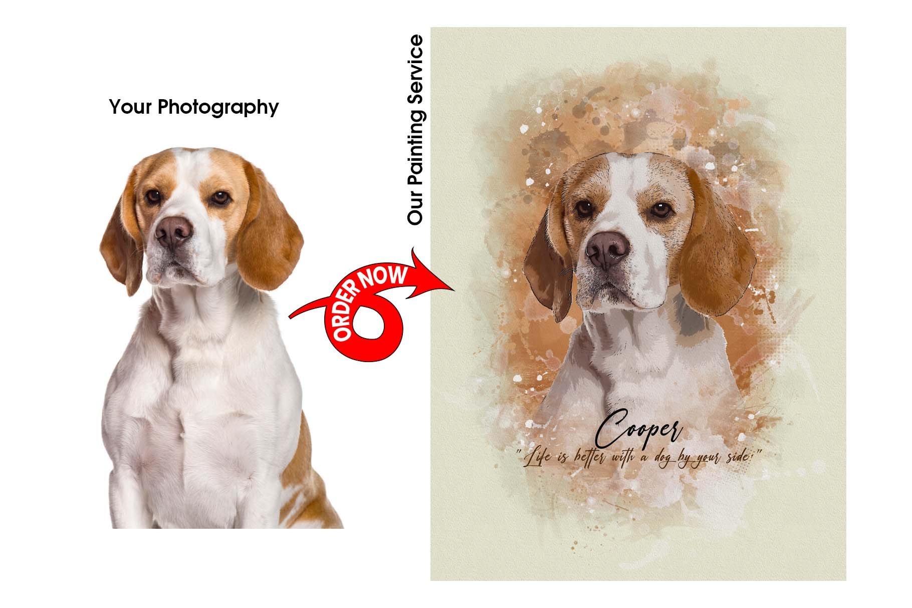 Example of Custom Pet Digital Painting Service