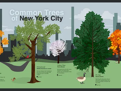 Common Trees of NYC adobe illustrator akshay central data dinakar graphic design illustration nature nyc park skyscraper trees visualization