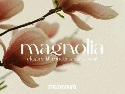 Magnolia - Elegant & Modern Sans Serif aura branch chic flower magnolia moon pink sky studio sun typography unique