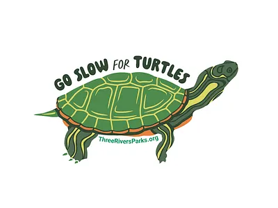 Go Slow for Turtles Sticker nature pain de mie painted turtle sticker turtle