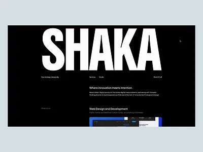 Shaka Studio landing page agency landing page portfolio ui ux web web design