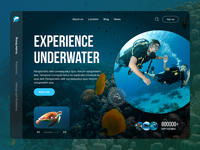 Dashboard design graphic design ui ux