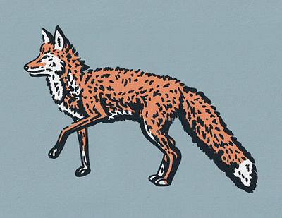 Fantastic Mr. Fox graphic design illustration