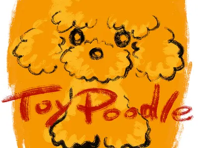 Toy Poodle brush drawing animal character character design cute dog illustration kawaii pet puppy toy poodle