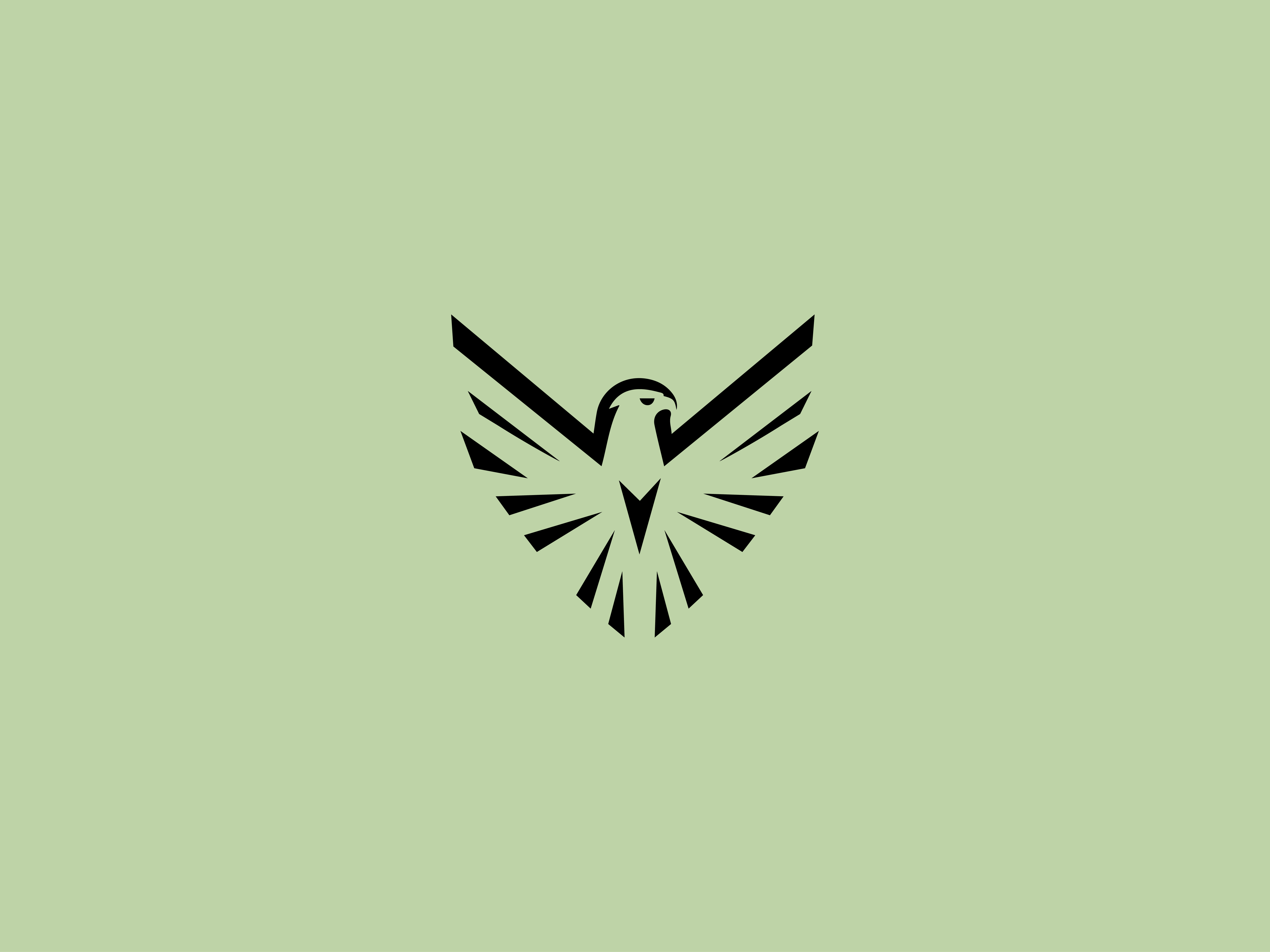 Eagle Geometric Logo Design eagle branding