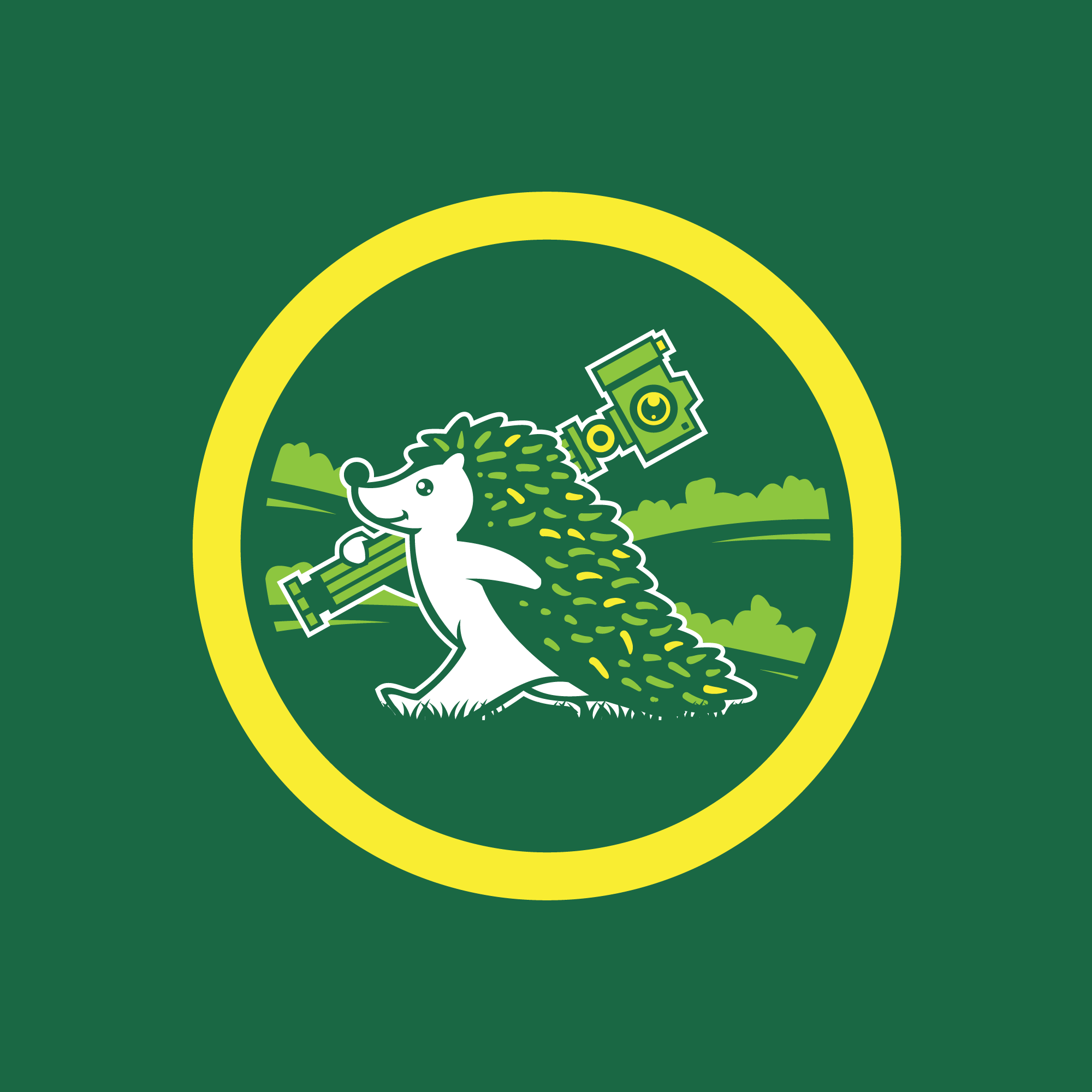 Example of Logo Design 