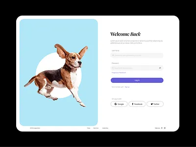 Pet e-shop | Log in design graphic design log in product design ui ux