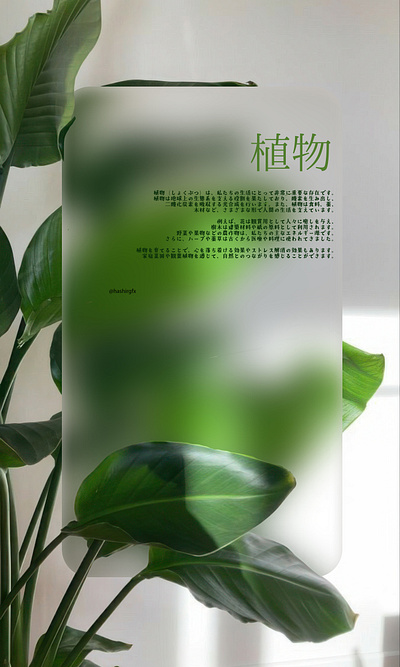 Plant graphic design