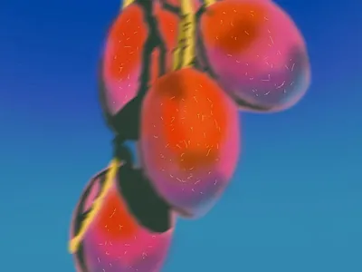 grapes digitalillustration illustration