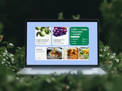 AI Diet Application | Bento grid | Widgets ai diet app design app store application calories design fitness food app laptop mockup nutrition app tracking diet ui widget