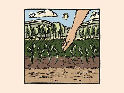 The Sower's Seeds bible bible study branding church design farming gardening illustration planting seeds